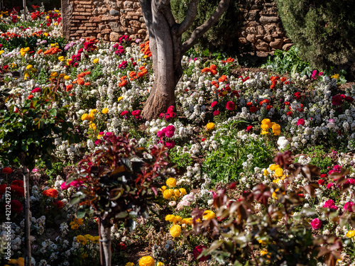 tree with flowers