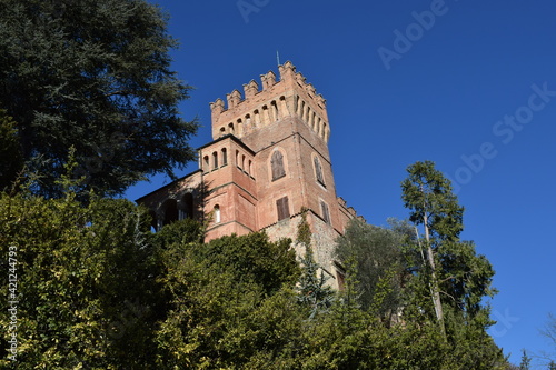 Castello di Mornico Losana photo