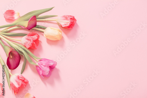 Fototapeta Naklejka Na Ścianę i Meble -  spring flowers on pink background