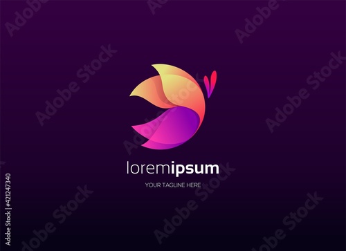 Butterlfy colorful abstract logo design