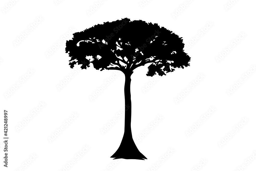 Kapok Ceiba pentandra tree illustration icon, rush, texture. Single tree outline on a white background. Vector.