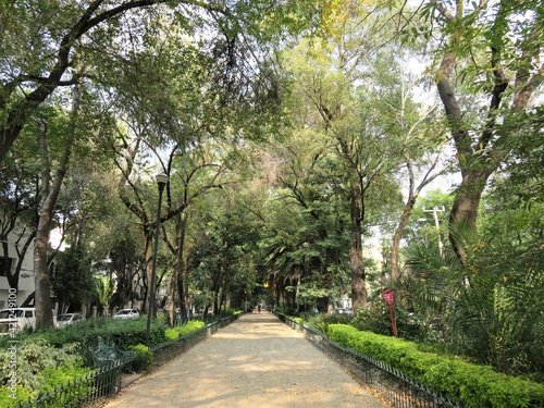 Condesa in Mexico city