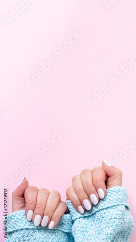 Female hands in blue knitted sweater with beautiful manicure - white ivory nails on pink paper background, vertical template banner with copy space