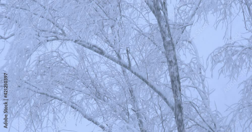 Dense snowfall on the lake's edge