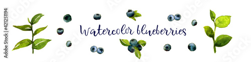 watercolor setof blueberries with branches leaves, isolated on a white background