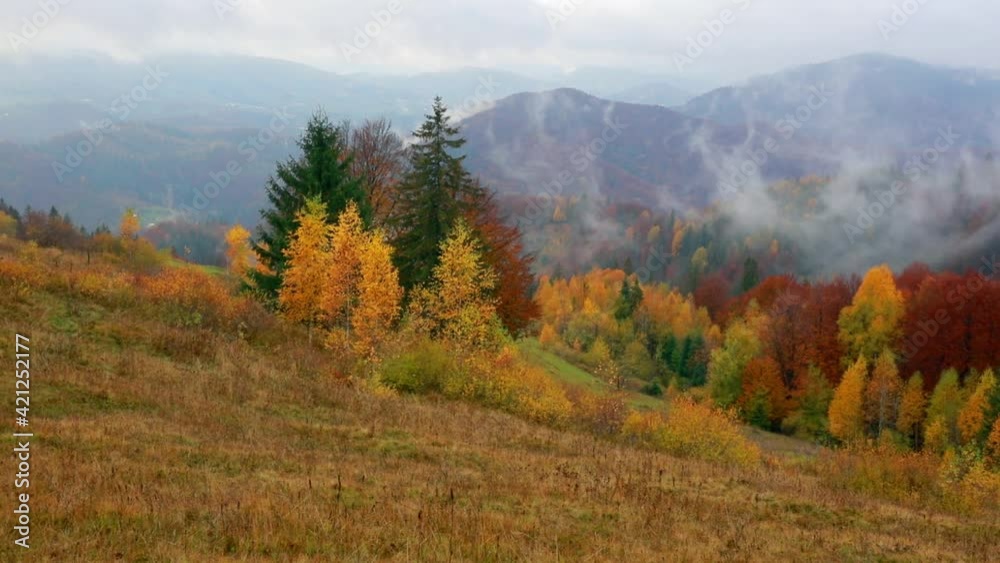 Full HD video (High Definition). Magnificent autumn view of Carpathian mountains. Dramatic morning scene of mountain valley. Beauty of nature concept background. Full HD video (High Definition). Magnificent autumn view of Carpathian mountains. Dramatic morning scene of mountain valley. Beauty of nature concept background.