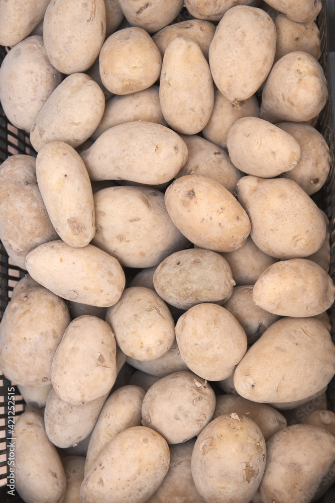 Closeup of some elongated (potatoesSolanum tuberosum) in a drawer Closeup of some elongated (potatoesSolanum tuberosum) in a drawer