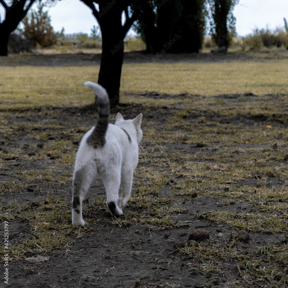 aire libre