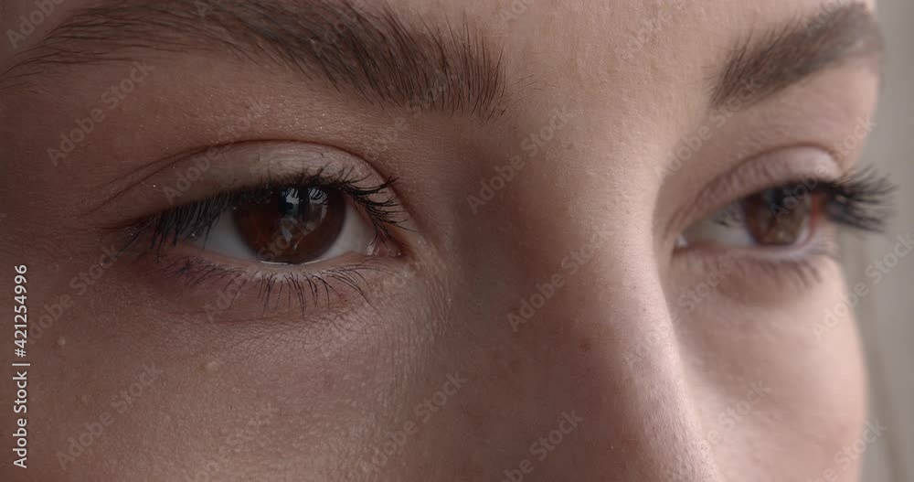 Beautiful woman brown eyes with light clean makeup. Close up of female face. Open expressive look. Beautiful woman brown eyes with light clean makeup. Close up of female face. Open expressive look.