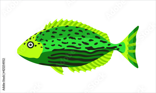 siganus javus, one of the rabbitfish. collection set of coral fish illustration. the hand drawing of under the sea life. hand drawn vector animation. adorable and beautiful fishes of marine life.