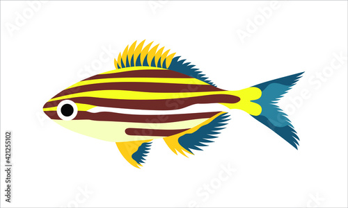 microcanthinae or footballer fish. collection set of coral fish illustration. the hand drawing of under the sea life. hand drawn vector animation. adorable and beautiful fishes of marine life.