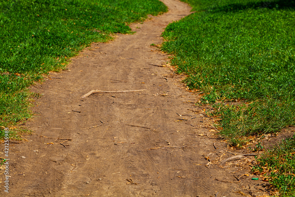 Park on a sunny day. Walking path.