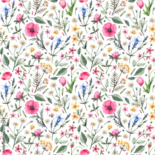 Floral watercolor pattern with poppies, bells, chamomile, clover and other meadow grasses. Cute seamless pattern hand-drawn. Summer flower texture with wild plants.