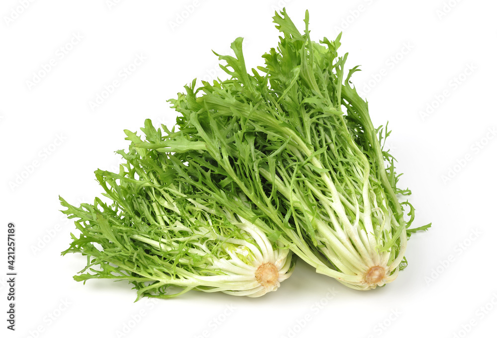 Escarole Endive on a white background stock photo Escarole Endive on a white background stock photo