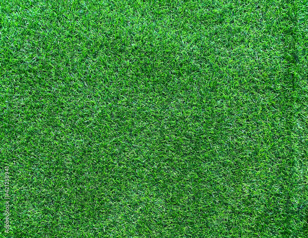 Obraz premium artificial grass surface background. Decorate things for field. fake plastic grass