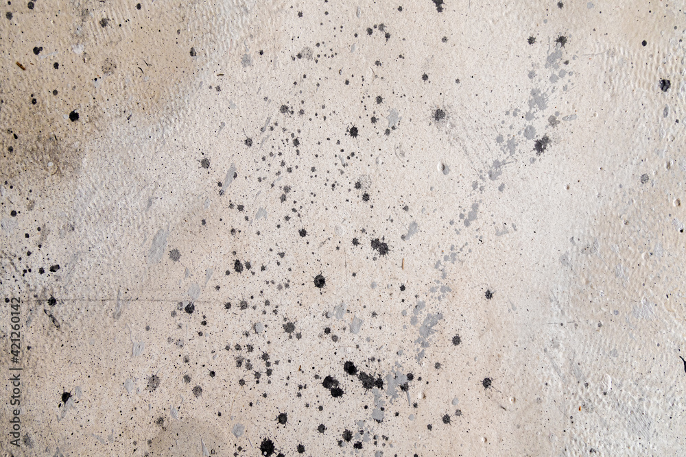 Naklejka premium gray background splatter masonry paint . Bad home interior decoration textured concept