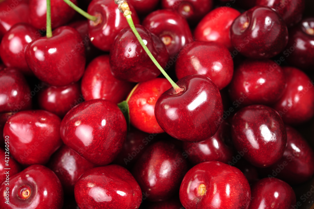 Cherry isolated background Cherry isolated background