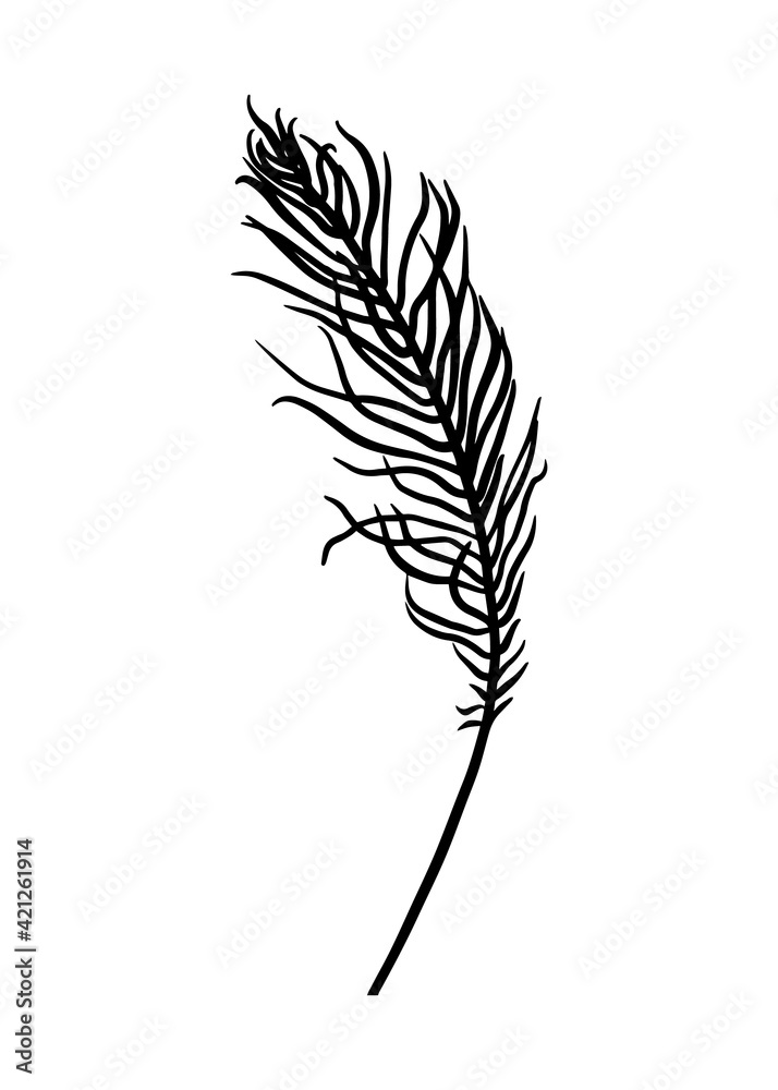 A fern leaf. Contour drawing by hand. Doodle style. A fern leaf. Contour drawing by hand. Doodle style.