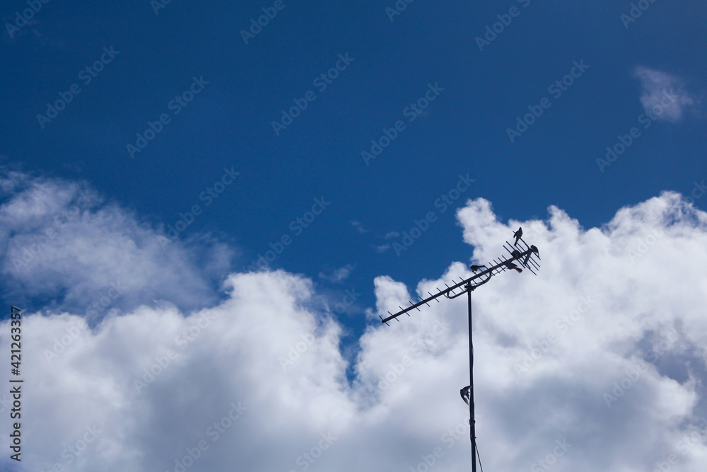 television antenna against blue sky television antenna against blue sky