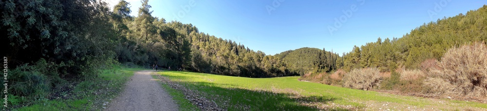 view of the mountains, view from the top of the hill, cityscape, landscape with mountains and trees, park, nature , forest , mountains , tree , view , outdoor, travel , alps, Europe, green, autumn view of the mountains, view from the top of the hill, cityscape, landscape with mountains and trees, park, nature , forest , mountains , tree , view , outdoor, travel , alps, Europe, green, autumn