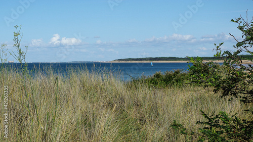 V  g  tation des plages