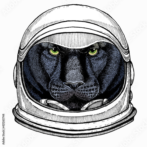 Black panther. Wild cat portrait. Astronaut animal. Vector portrait. Cosmos and Spaceman. Space illustration about travel to the moon. Funny science hand drawn illustration.