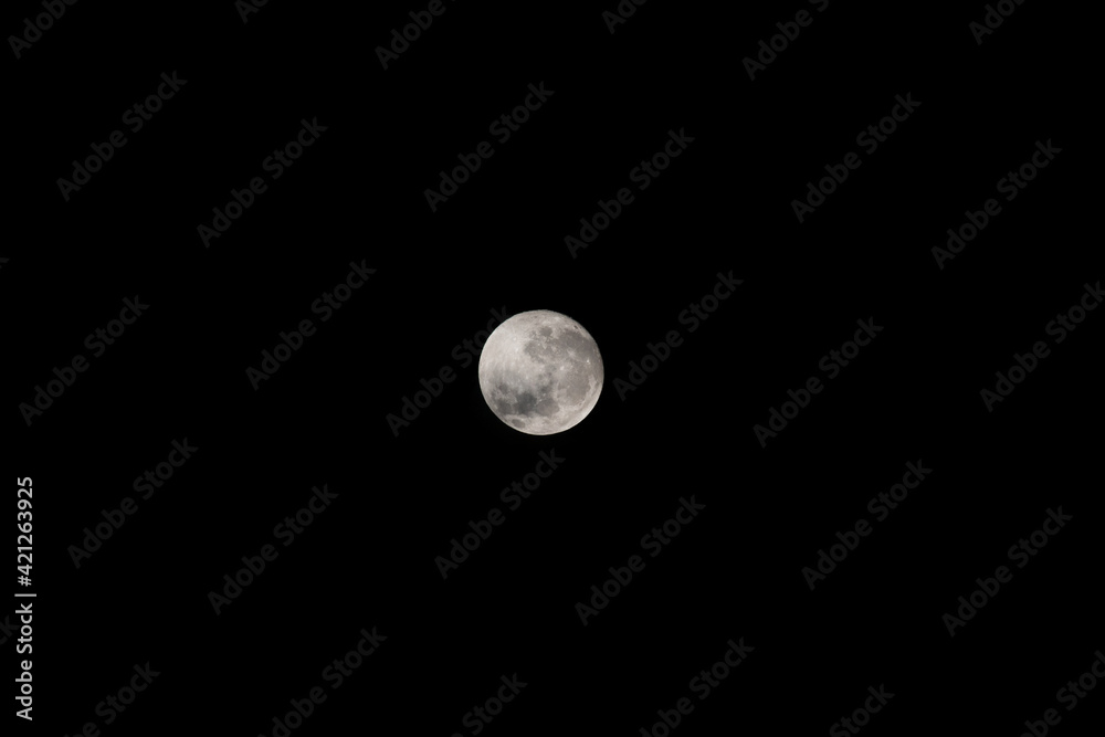 Lua Moon Lua Moon