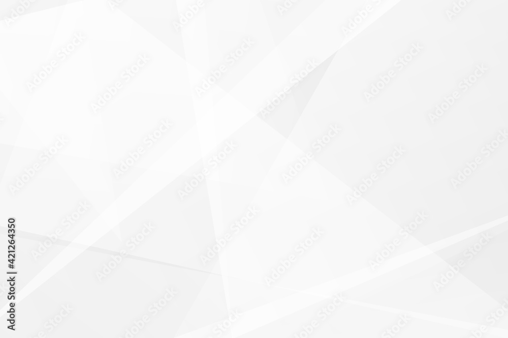 Abstract white and grey on light silver background modern design. Vector illustration EPS 10.