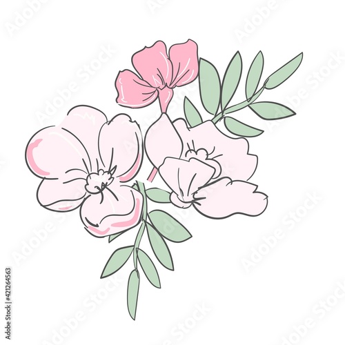 Fototapeta Naklejka Na Ścianę i Meble -  Hand Drawn Beautiful Decorative Flower, Element for design. Vector botanical