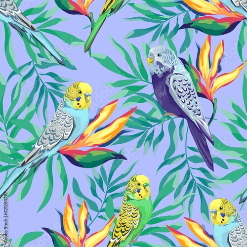 Pattern with beautiful parrots and tropical flowers leaves. Summer Birds background Vector Illustration. exotic