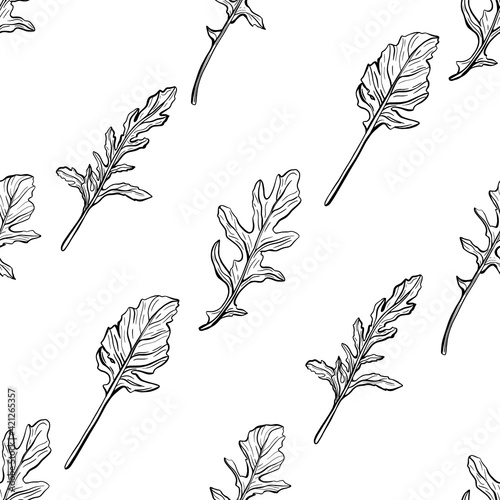 Arugula seamless pattern. Arugula leaves on a white background. Spicy and aromatic Italian seasoning. Hand-drawn vector illustration