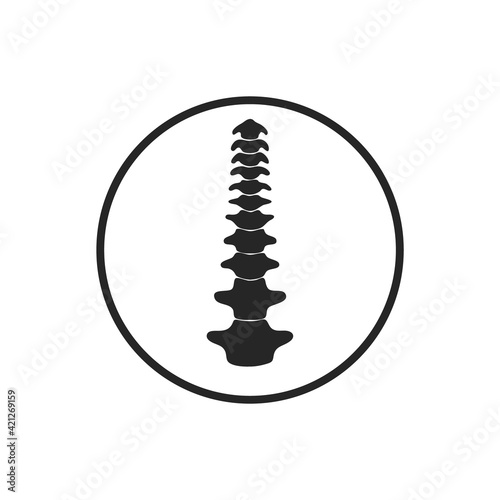 Vector medical icon of a spine isolated on white