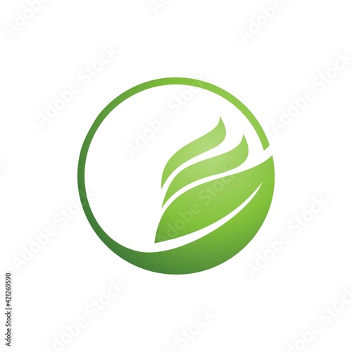 health leaf, circle design concept