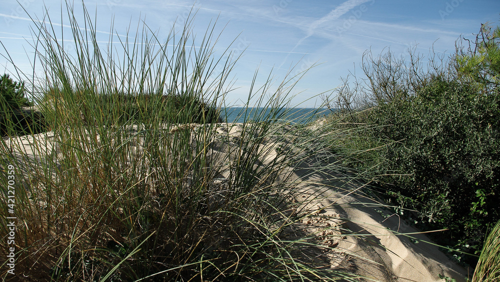 Mer et dunes Mer et dunes