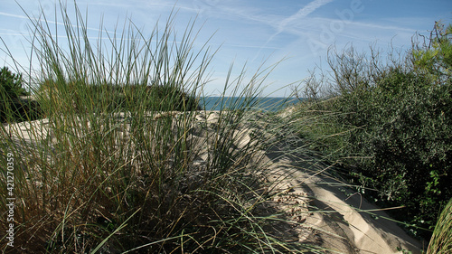 Mer et dunes © Jelis