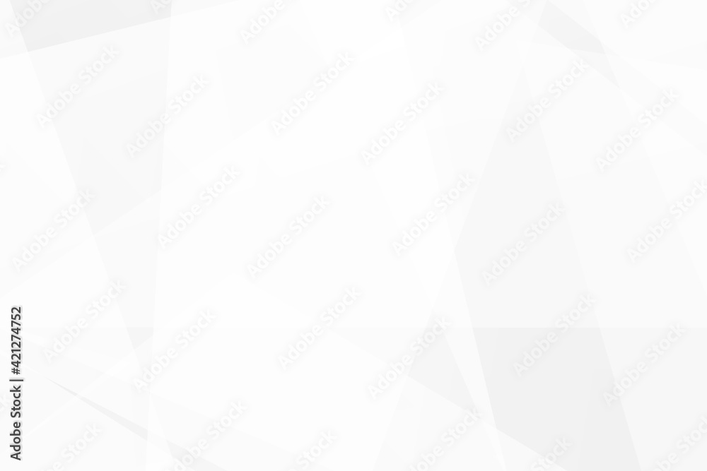 Fototapeta premium Abstract white and grey on light silver background modern design. Vector illustration EPS 10.