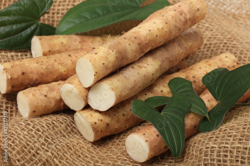 Chinese yam on white background 