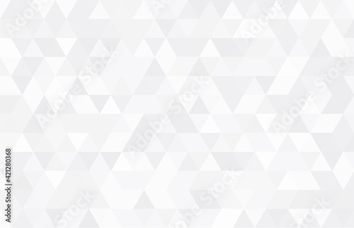 Abstract geometry triangle pattern white and gray background.vector