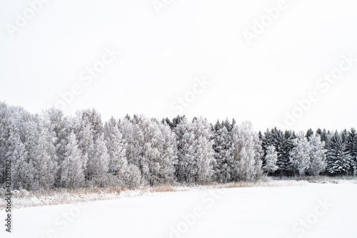 Winterscape