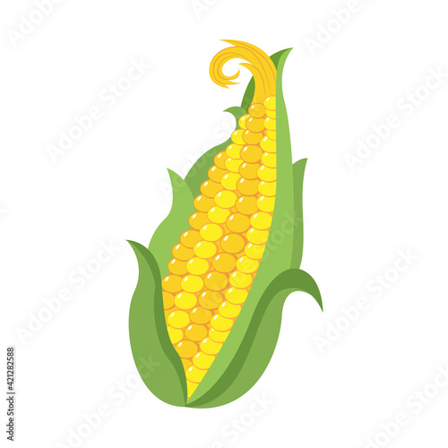 Isolated corn cob icon. Vegetable icon - Vector illustration