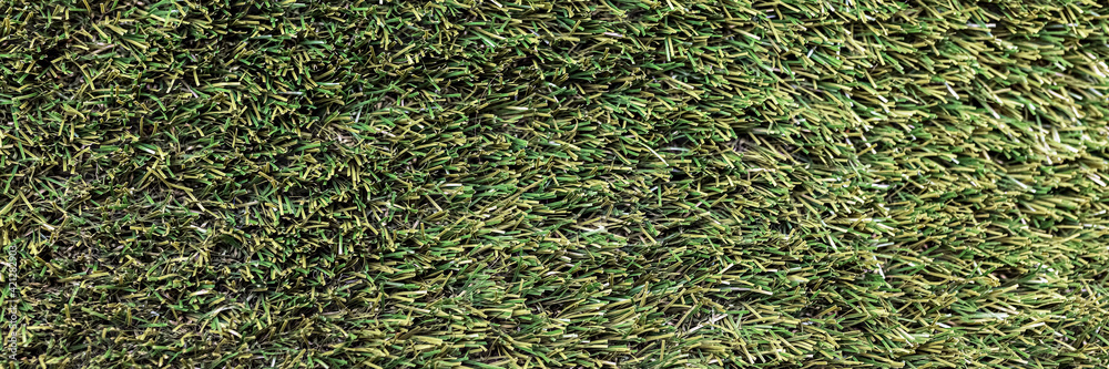 Background from green spring grass. Texture. Backdrop.Banner
