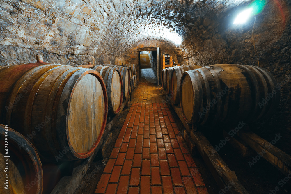 Wine barrels in a wine cellar. Small production. Underground tunnel. Storage of finished products. deep sharpness on a wide angle lens Wine barrels in a wine cellar. Small production. Underground tunnel. Storage of finished products. deep sharpness on a wide angle lens