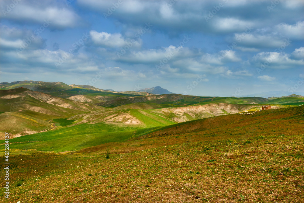 panorama of the fertile lands of central Sicily with flock of sheep in the distance and green and gold pastures.