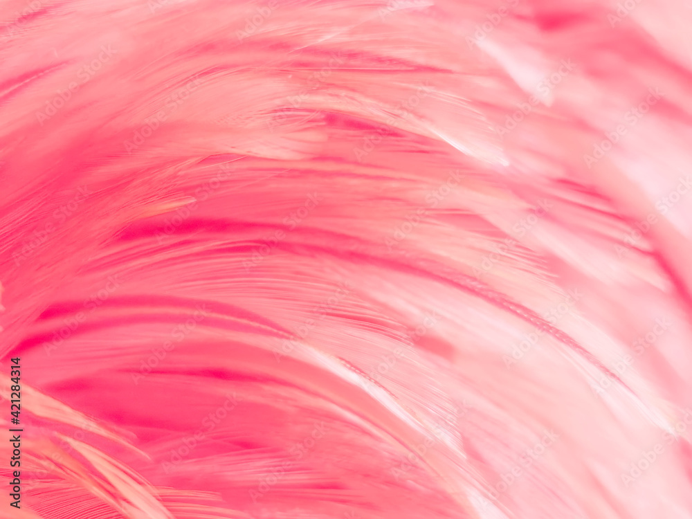 Pink feather background. Beautiful light pink feathers background , #spon,  #background, #feather, #…