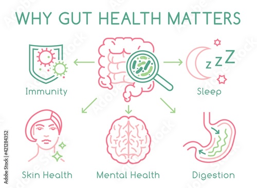 Gut health horizontal poster. Editable vector illustration