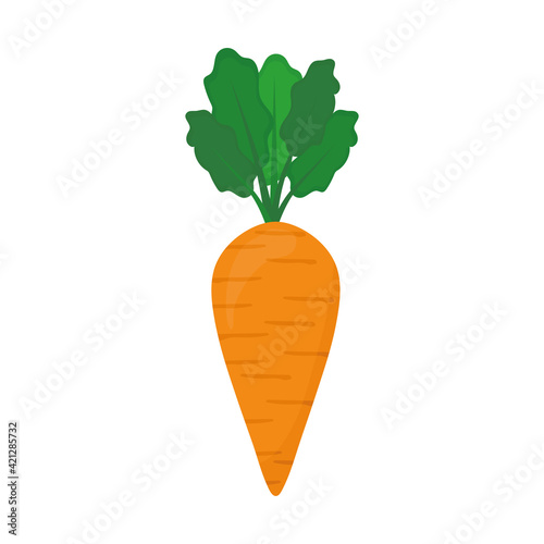 fresh carrot icon