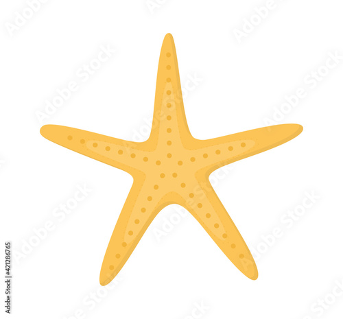 cute yellow starfish