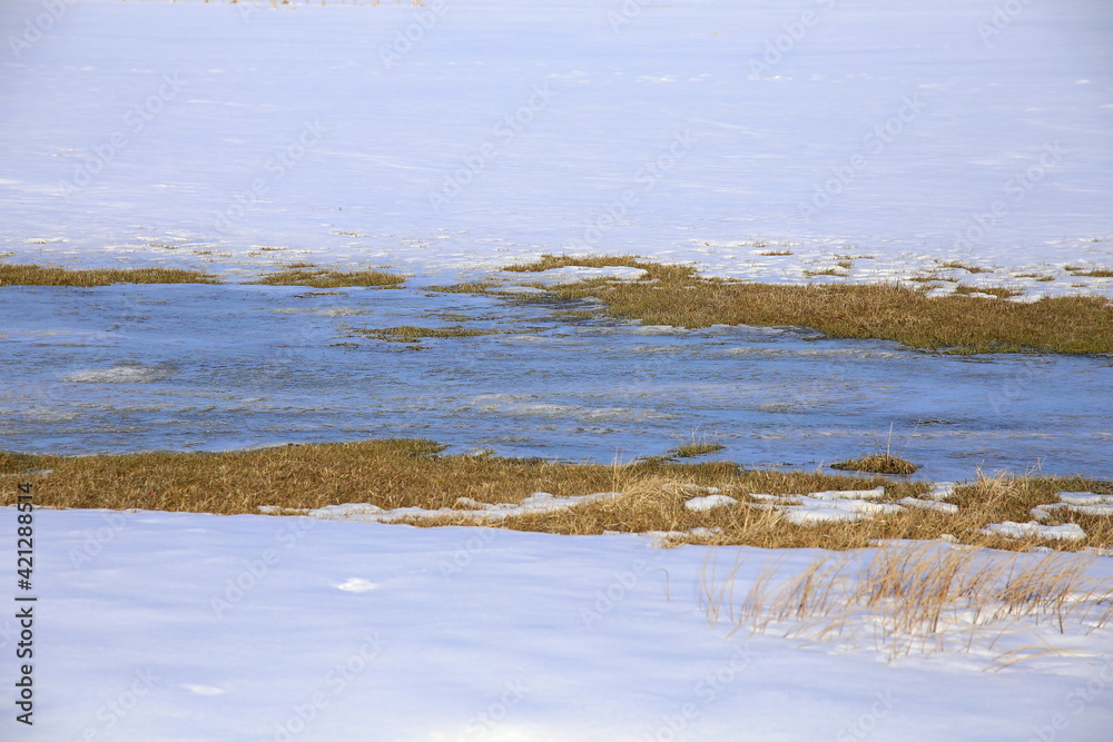 Wintertime with frozen stream and dry vegetation in the snow Wintertime with frozen stream and dry vegetation in the snow