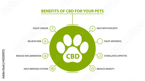 Information poster of Cannabidiol Benefits for your pets with infographic
