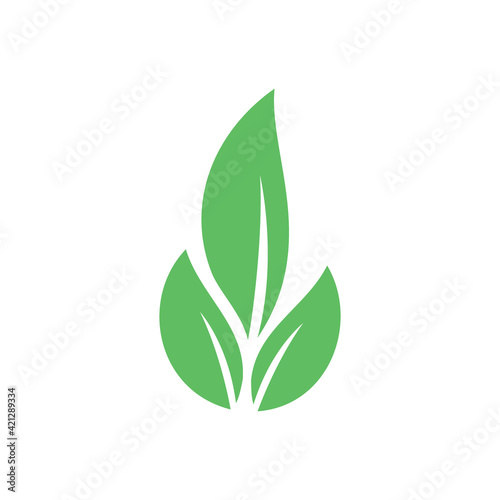 Plant and leaves icon. Leaf symbol of ecology, enviroment and nature. Vegetarian and vegan pictogram design.